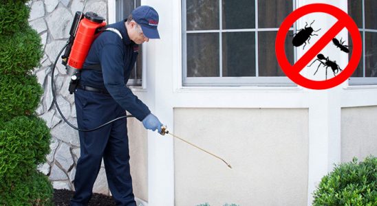 Dazkırı Haşere İlaçlama böcek ilaçlama ve haşere kontrolü — ilaclama-tr.com